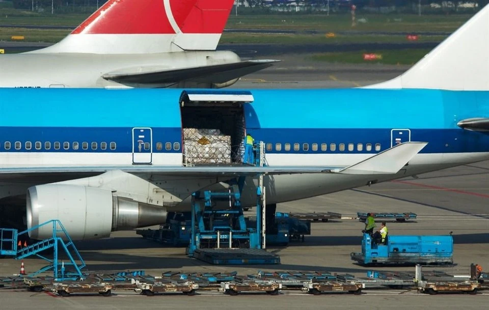 Chiny Japonia Transport żywności